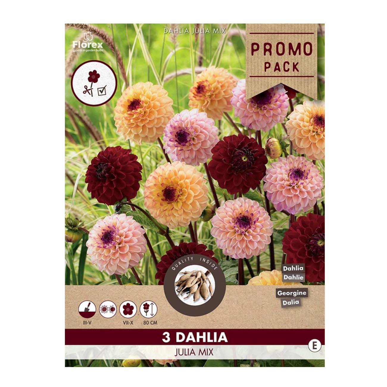 Pose med Dahlia Julia Mix blomsterløg i blandede farver