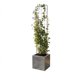 Plantekasse med espalier, 40 x 40 x 40 cm Plantekasse med espalier, 40 x 40 x 40 cm