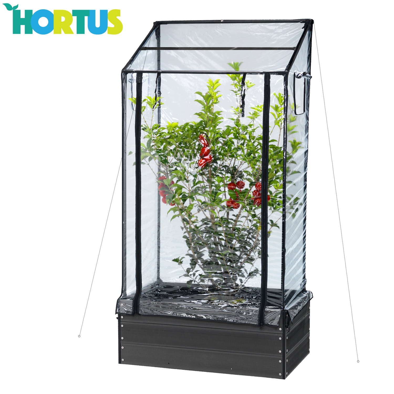 HORTUS mini drivhus med hætte HORTUS mini drivhus til beskyttelse af planter