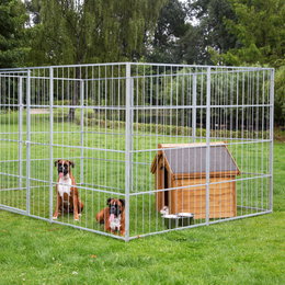 Udendørs hundegård i metal med hundehus To hunde i metalhundegård med træhundehus