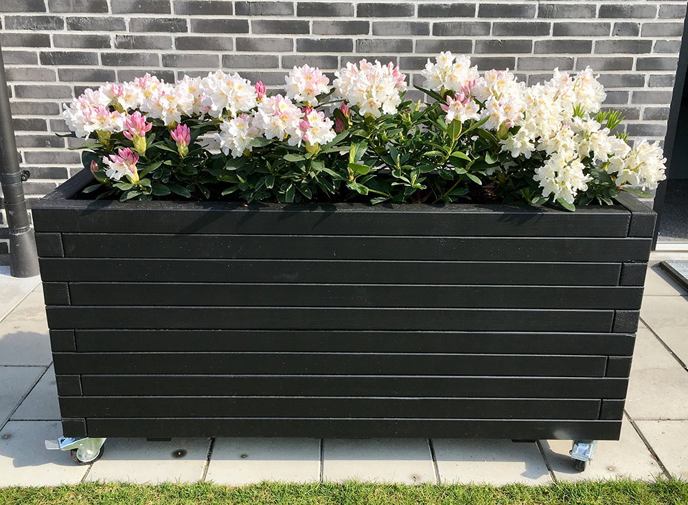 Sort plantekasse på hjul til terrasse Sort plantekasse på hjul med hvide rhododendron