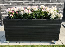 Sort plantekasse på hjul til terrasse Sort plantekasse på hjul med hvide rhododendron