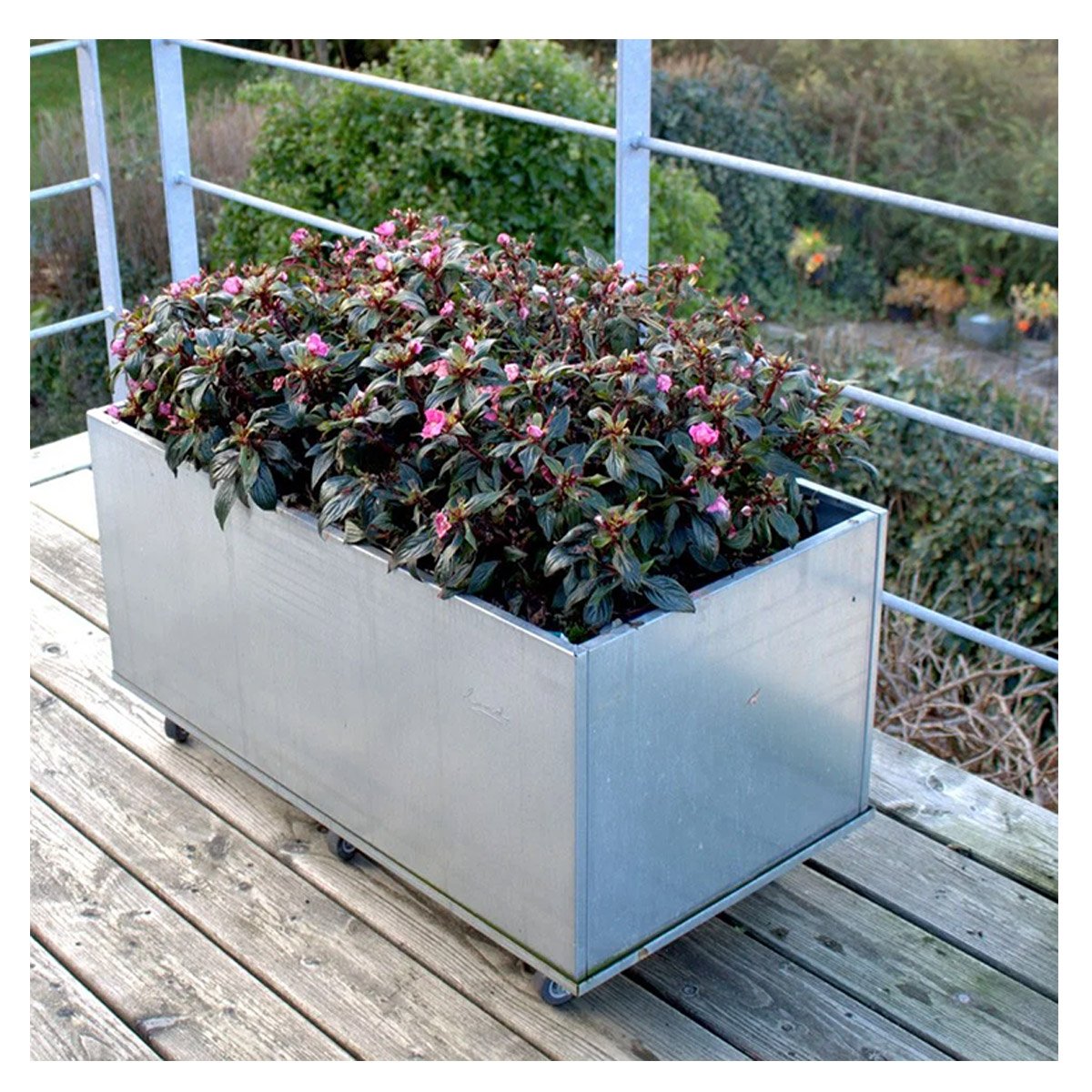 Rektangulær galvaniseret altankasse på hjul Stor galvaniseret altankasse på hjul med blomster