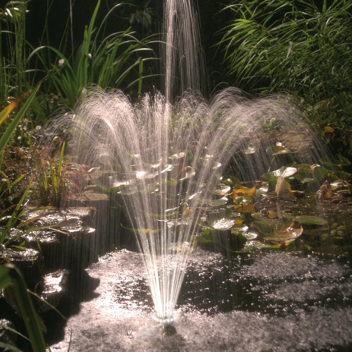 Springvand til havedam med vandskulptur Dekorativt springvand i havedam med åkander