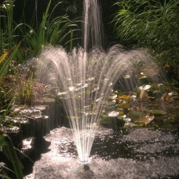 Springvand til havedam med vandskulptur Dekorativt springvand i havedam med åkander