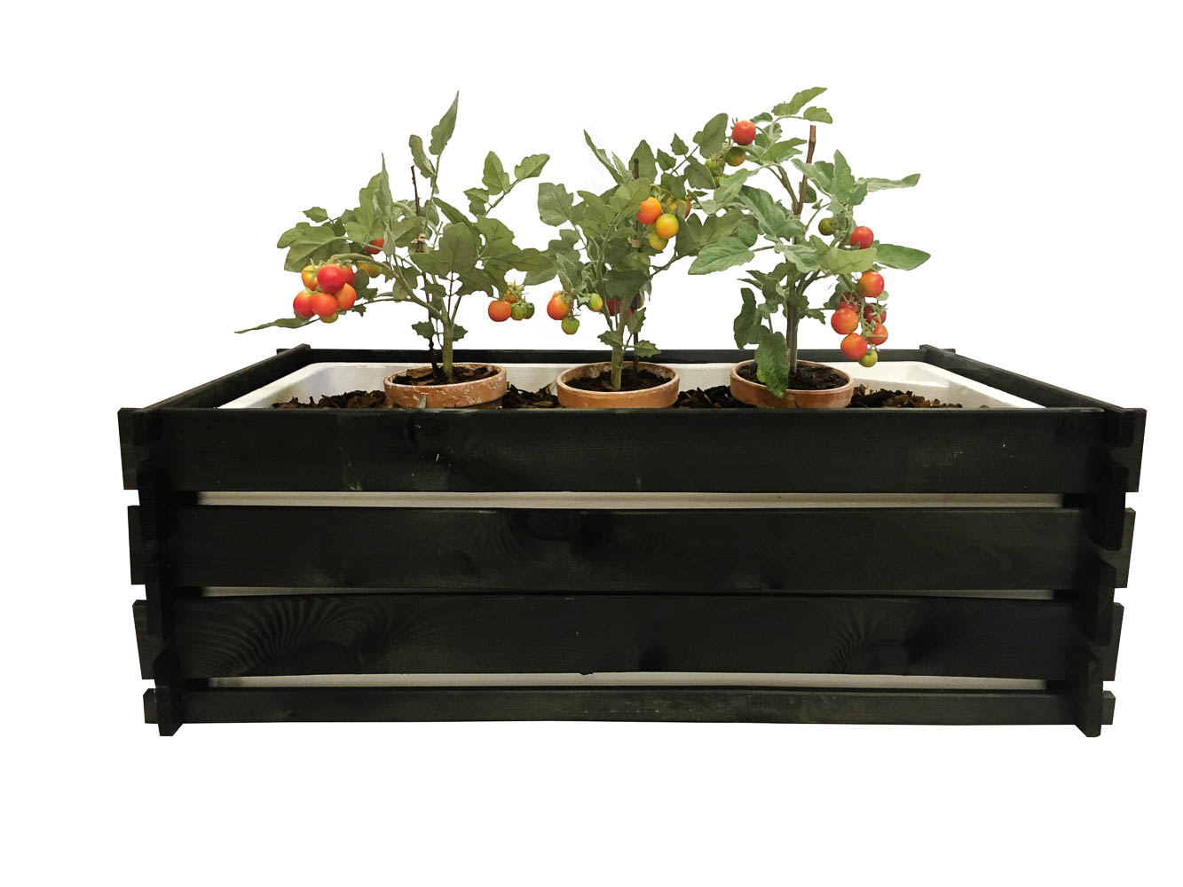 Sort plantekasse med tomatplanter Rektangulær sort plantekasse med tomatplanter i potter