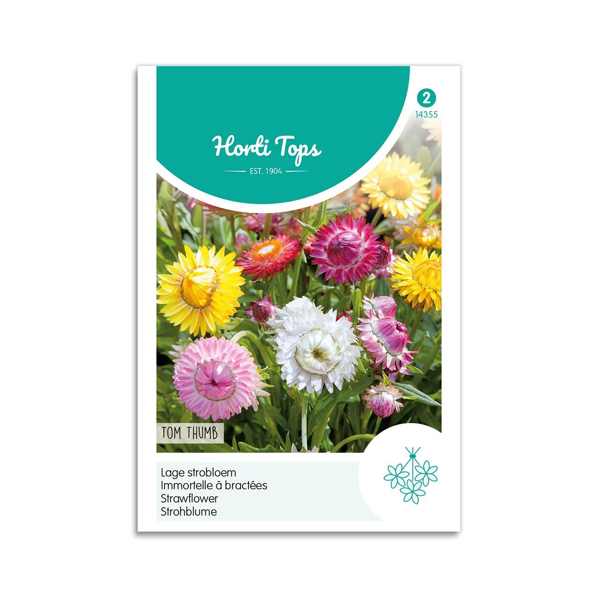 Evighedsblomster frø "Tom Thumb"