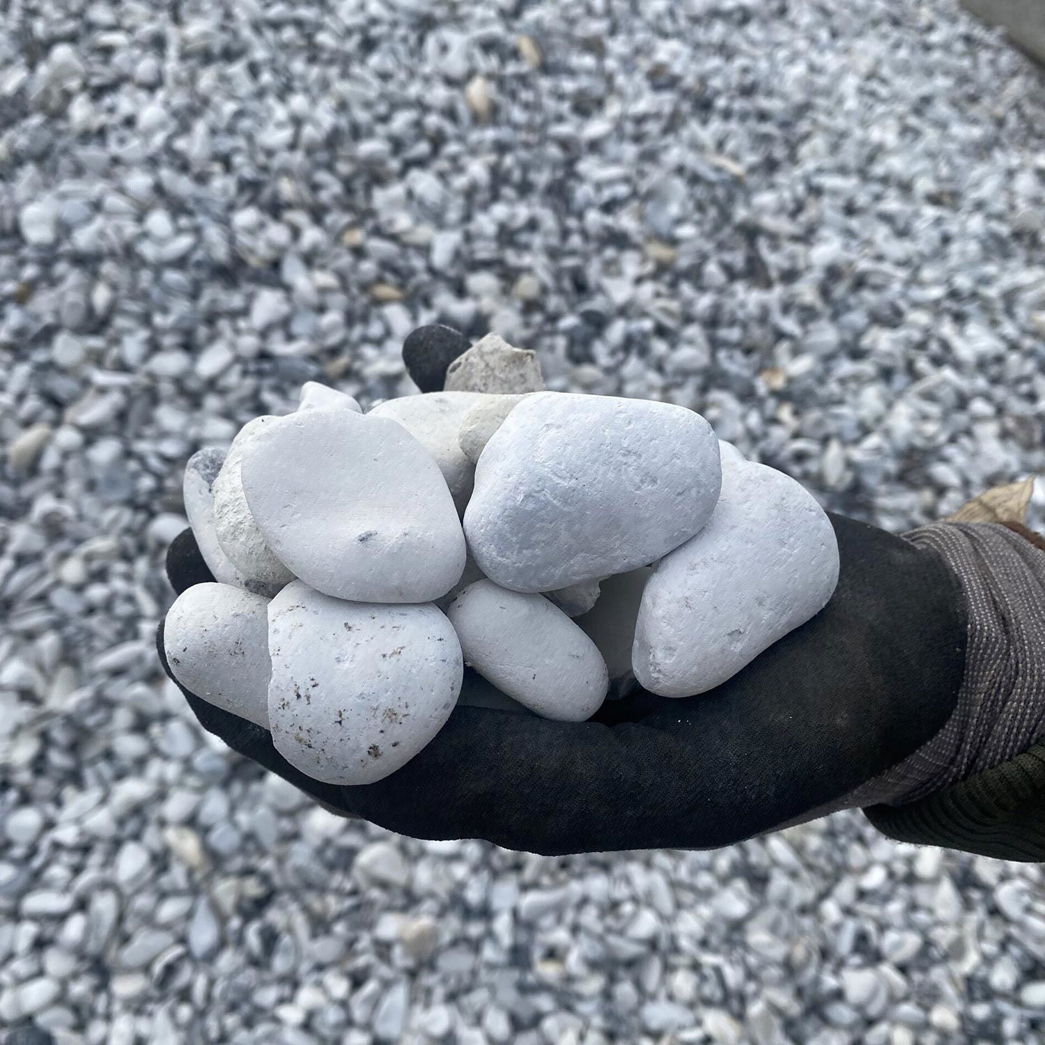 GreenBio hvide pyntesten 16–32 mm – dekorative og robuste nøddesten til indkørsel og dræn Hånd med arbejdshandske holder flere hvide pyntesten 16–32 mm fra GreenBio; runde, naturlige singels på baggrund af løst lag sten, velegnet til indkørsel, have og dræn