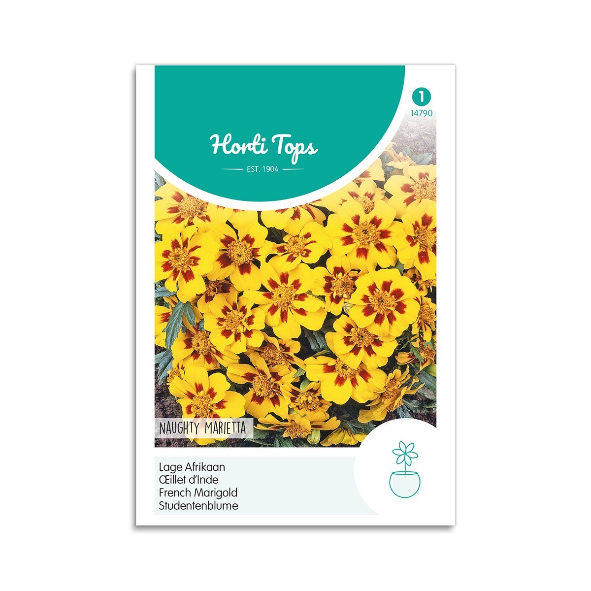 Tagetes frø Naughty Marietta Frøpose med gule Tagetes Naughty Marietta