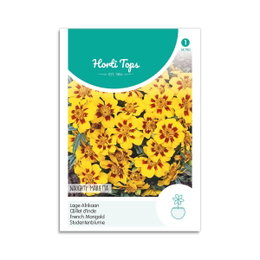 Tagetes frø Naughty Marietta Frøpose med gule Tagetes Naughty Marietta