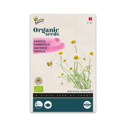 Økologiske kamillefrø til te og have Frøpose med økologiske kamillefrø fra Buzzy