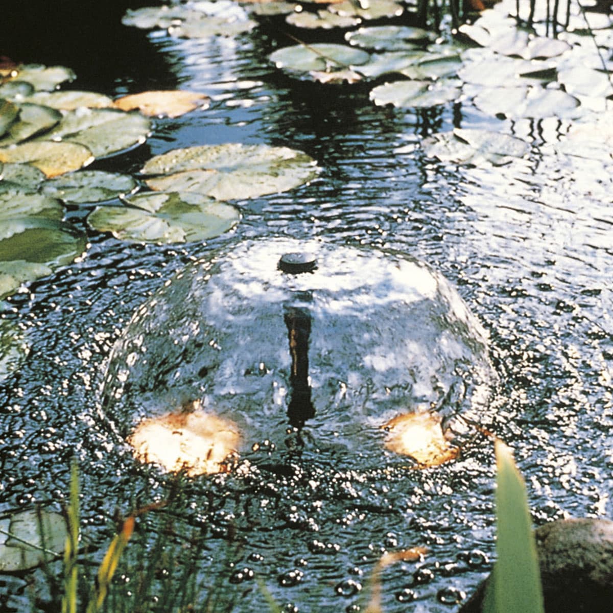 Rundt springvand med lys i havedam med åkander