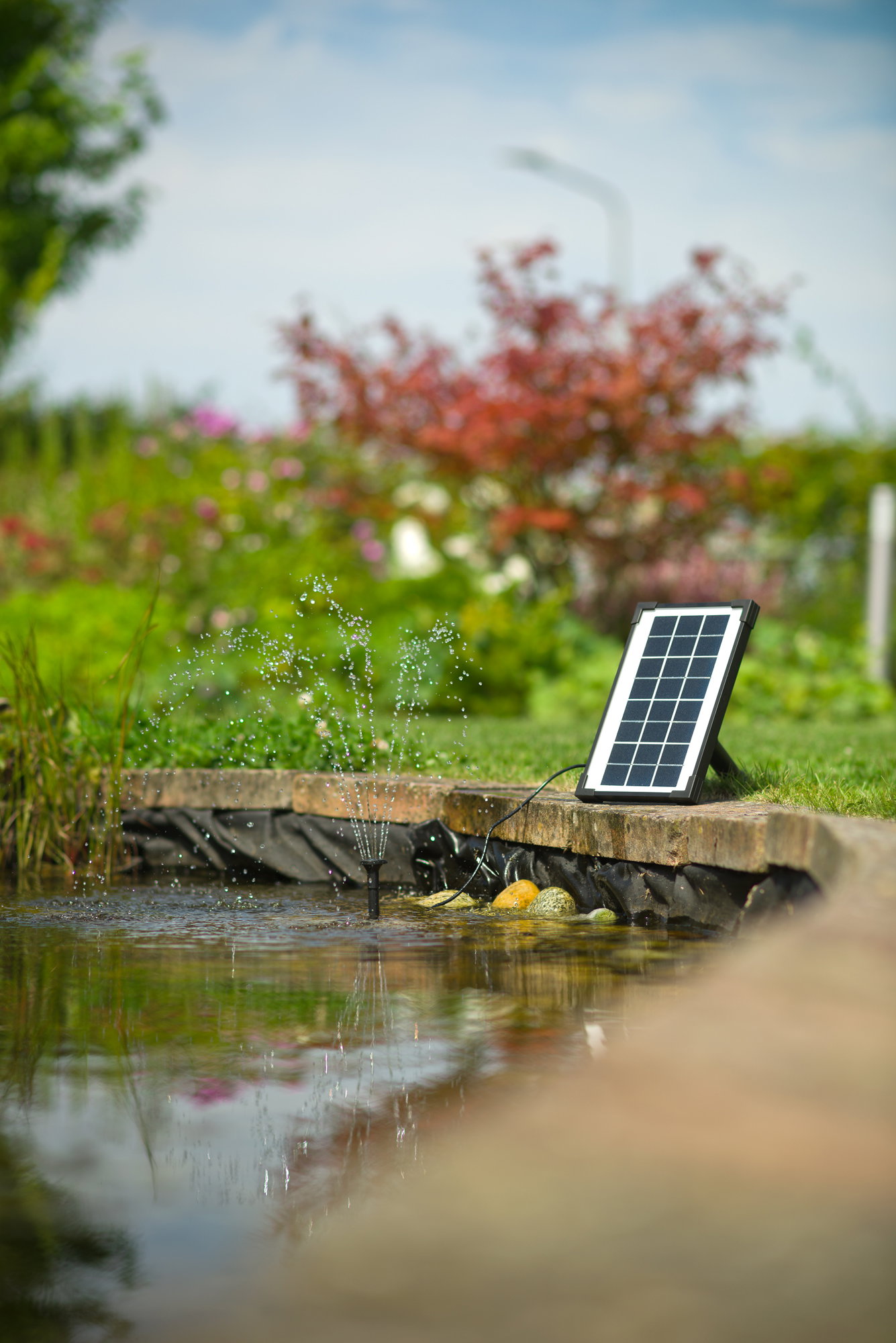 Solcelledrevet springvand til havedam Lille solcelledrevet springvand i havedam