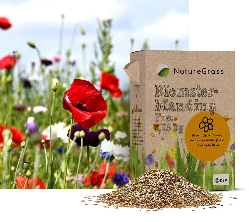 NatureGrass blomsterblanding frø foran blomstereng