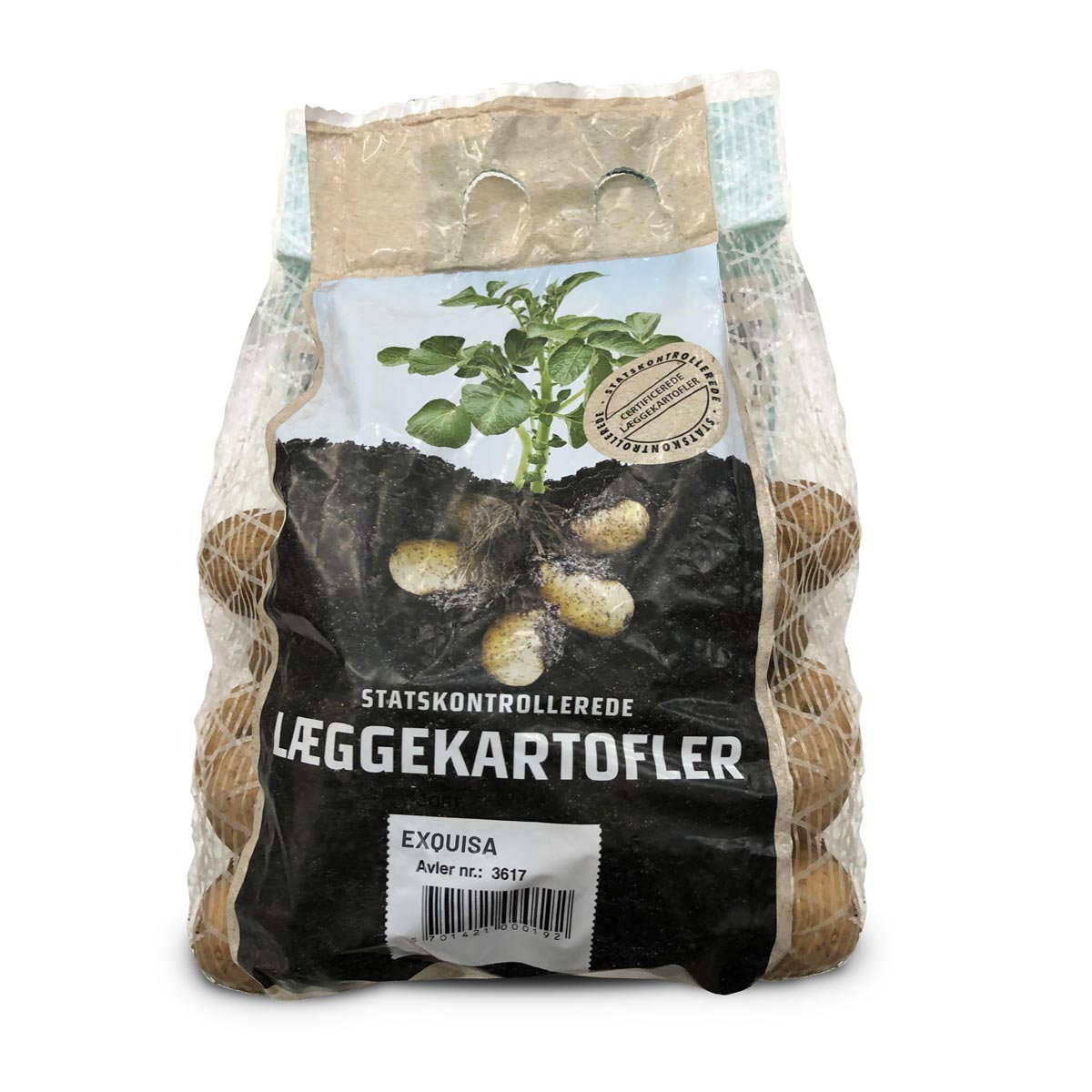Exquisa læggekartofler i netpose Pose med Exquisa læggekartofler klar til plantning
