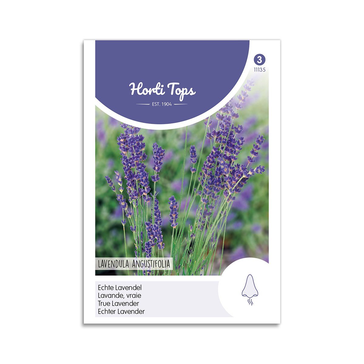 Ægte lavendel frø