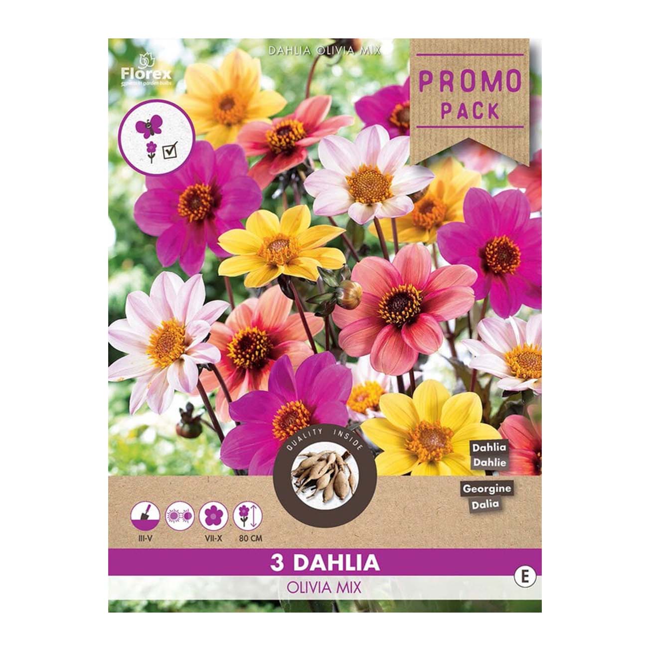 Pose med Dahlia Olivia mix blomsterløg i blandede farver
