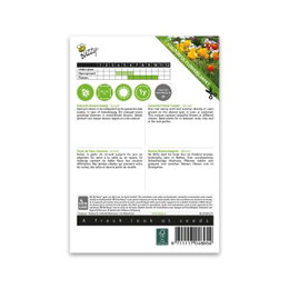 Buzzy frø til farverig blomsterblanding Buzzy farverig blomsterblanding frøpose bagside