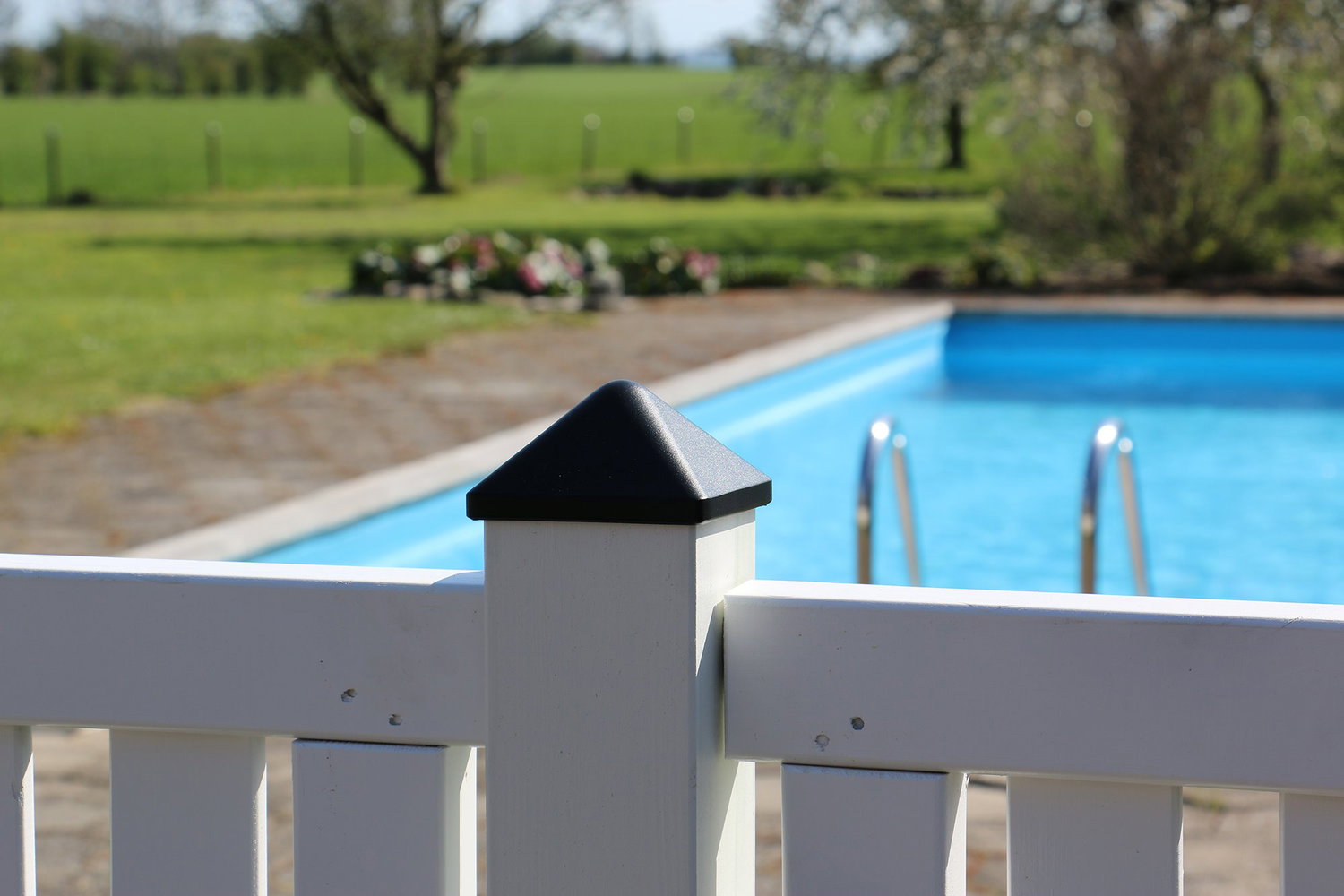Havehegn ved swimmingpool i solrigt vejr Hvidt hegn foran udendørs swimmingpool i haven