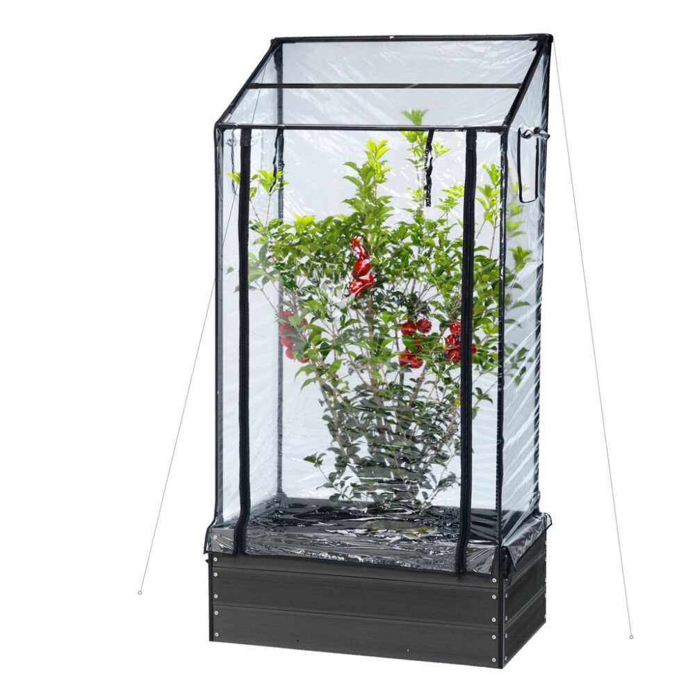 Fritstående mini drivhus i plast til planter