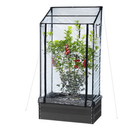 Fritstående mini drivhus i plast til planter