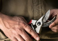 Hænder holder beskæresaks med røde håndtag og slidt blad Nærbillede af hænder, der holder en beskæresaks med røde håndtag og slidt, rustpletter på bladet