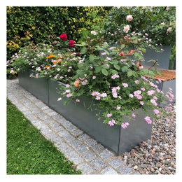 Høj plantekasse i stål til blomster og roser Have med blomstrende stål plantekasser på terrasse