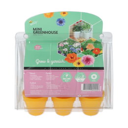Mini drivhus til spiselige blomster Buzzy mini drivhus med spiselige blomsterfrø