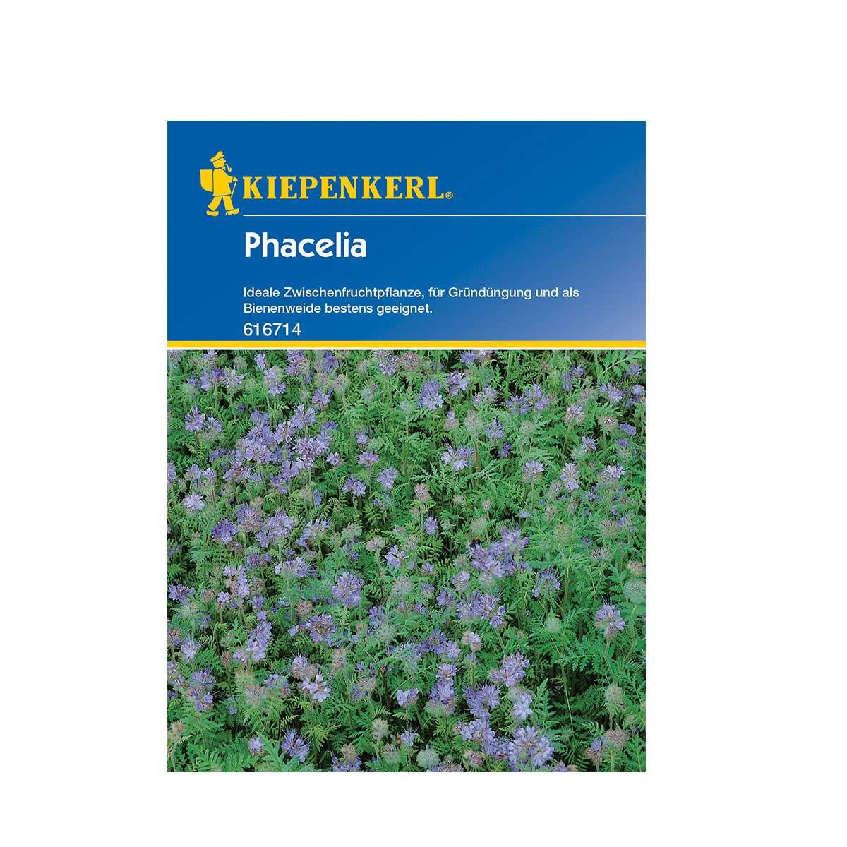 Frøpose med Kiepenkerl phacelia til bivenlig jorddække