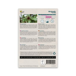 Buzzy Organic – Økologisk Kanelbasilikum frø | Aromatisk basilikum med kanelnote Buzzy Organic økologisk kanelbasilikum frøpakke, foto af mørkegrønne blade med violette stængler og lyse lilla blomster; perfekt til salater, desserter, te og til at tiltrække bier og sommerfugle