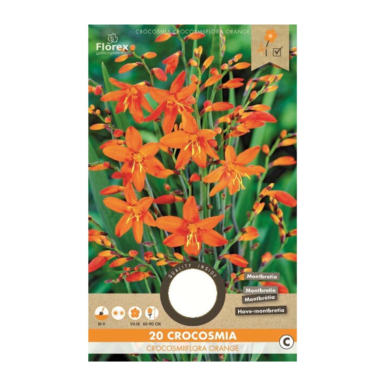 Crocosmia crocosmiflora orange blomsterløg Pakke med 20 crocosmia crocosmiflora orange blomsterløg