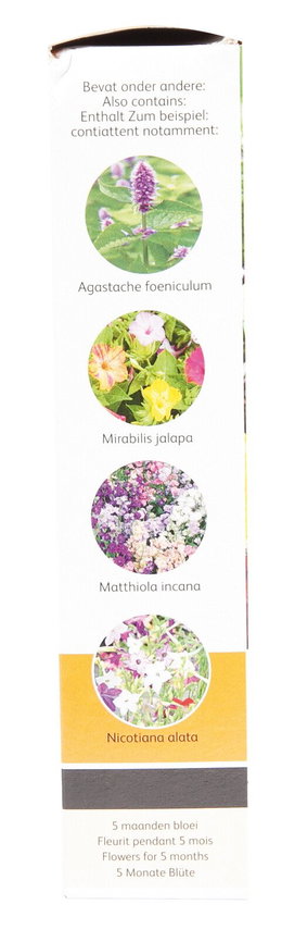 Blomsterfrø blanding, 5 måneders blomstring Frøblanding med Agastache, Mirabilis, Matthiola og Nicotiana