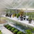 Drivhus med plantebord og grønne planter