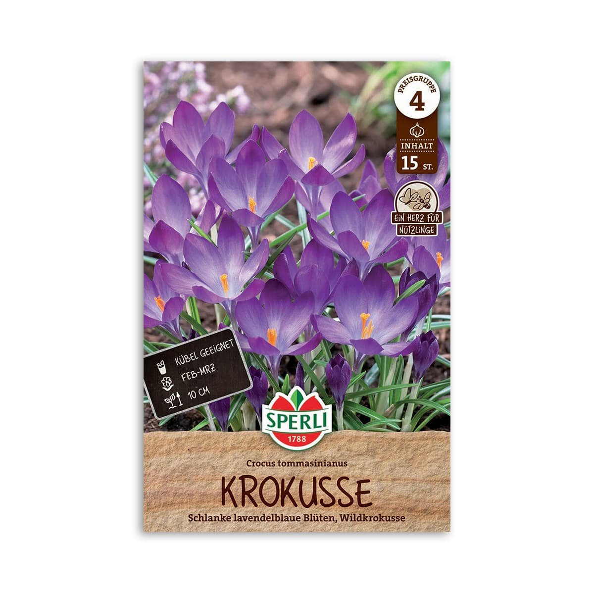 Pakke med lilla krokus blomsterløg fra Sperli