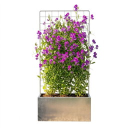 Plantekasse i stål med espalier 80 x 40 x 40 cm