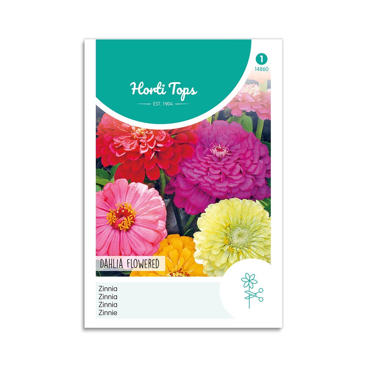 Frøkenhat frø "Dahlia Flowered"