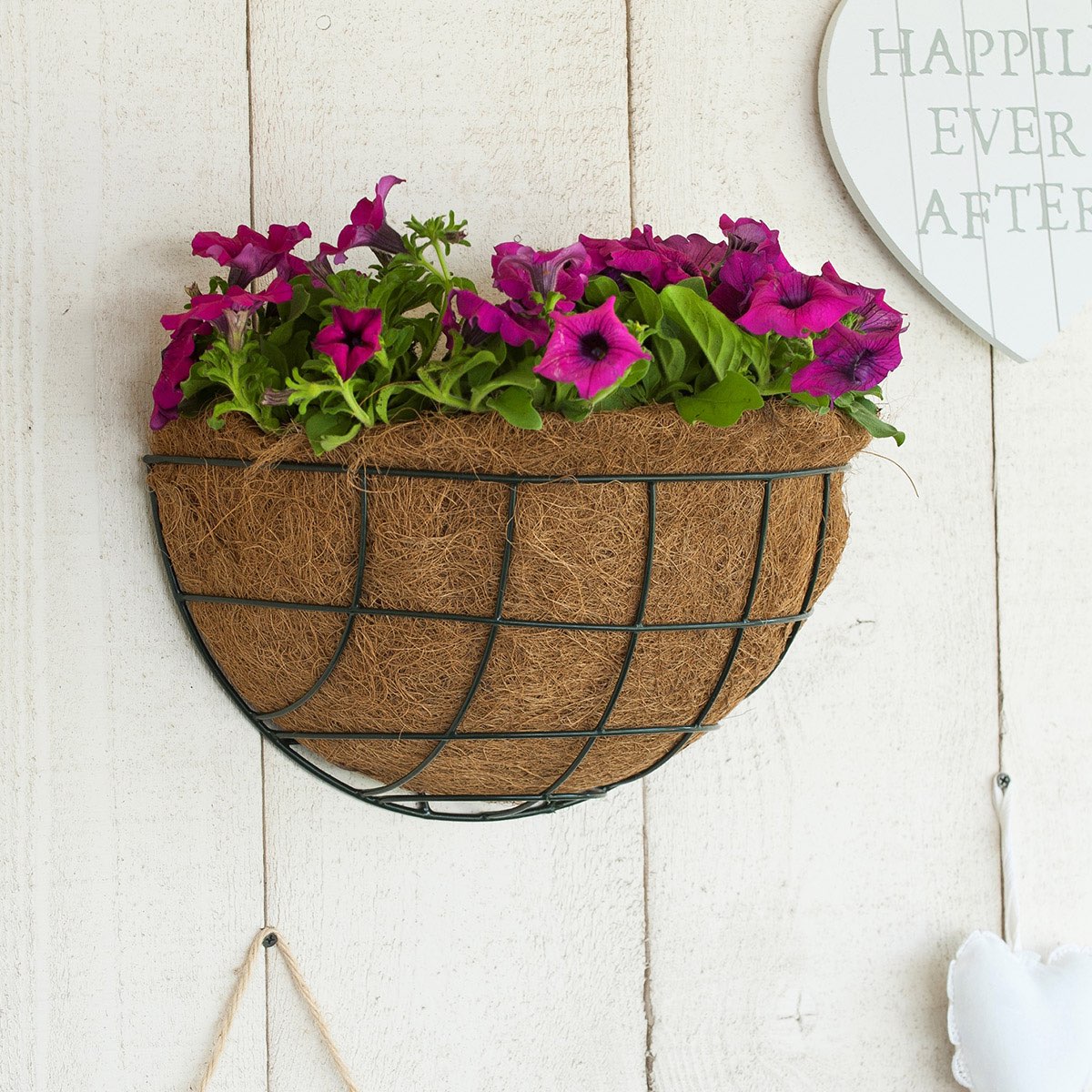 Væghængt sort metalblomsterkurv med kokos og pink blomster
