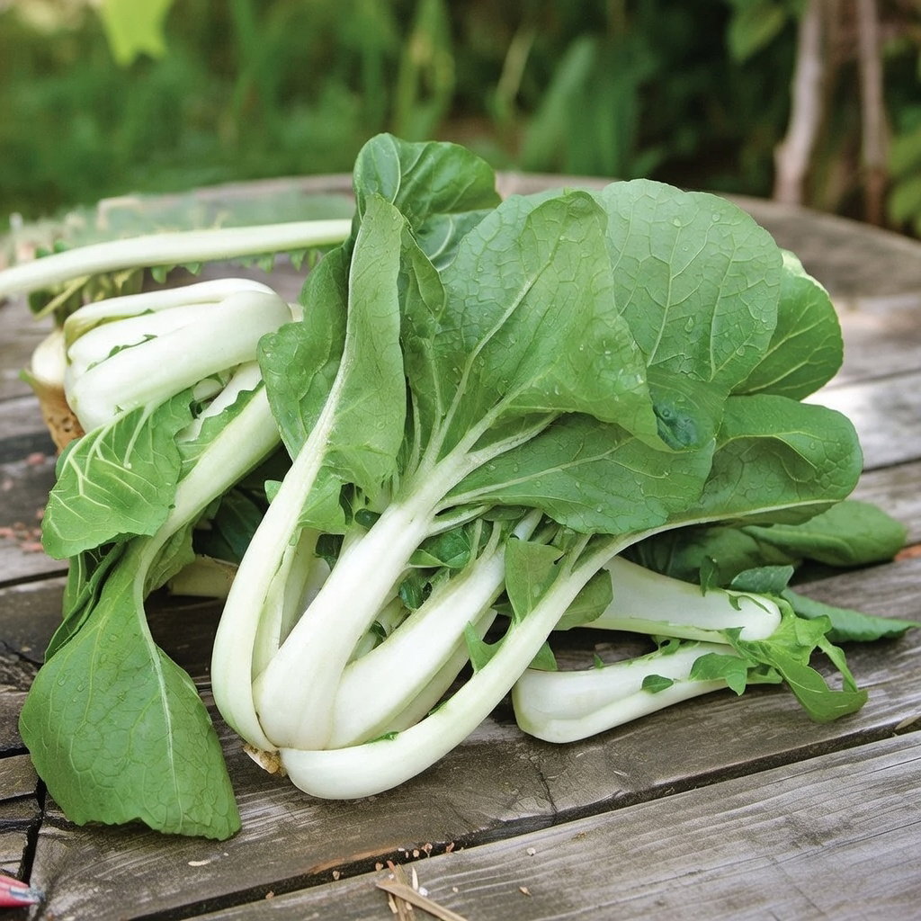 Japanske Pak, Choi frø
