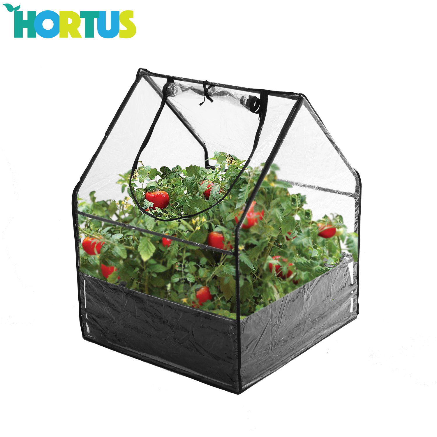 HORTUS minidrivhus med tomatplanter