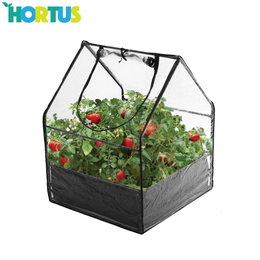 HORTUS minidrivhus med tomatplanter