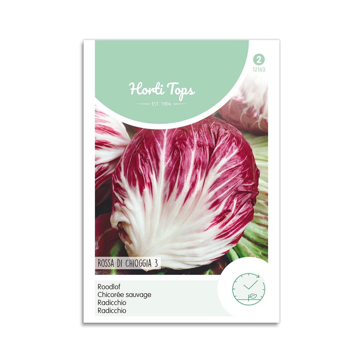 Radicchifrø Rossa di Chioggia 3 Frøpose med radicchio Rossa di Chioggia 3