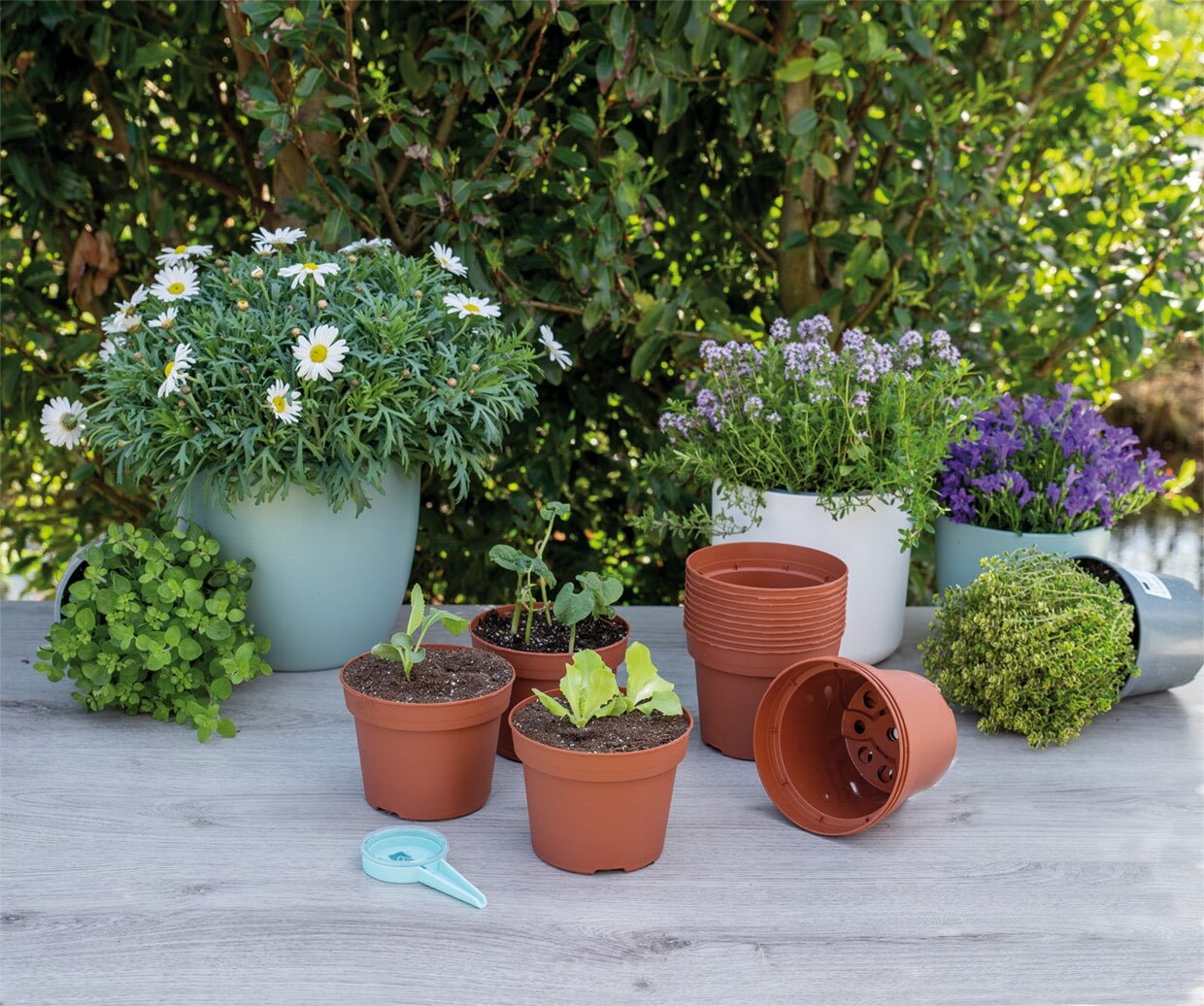 Små planter i plastikpotter på terrassebord