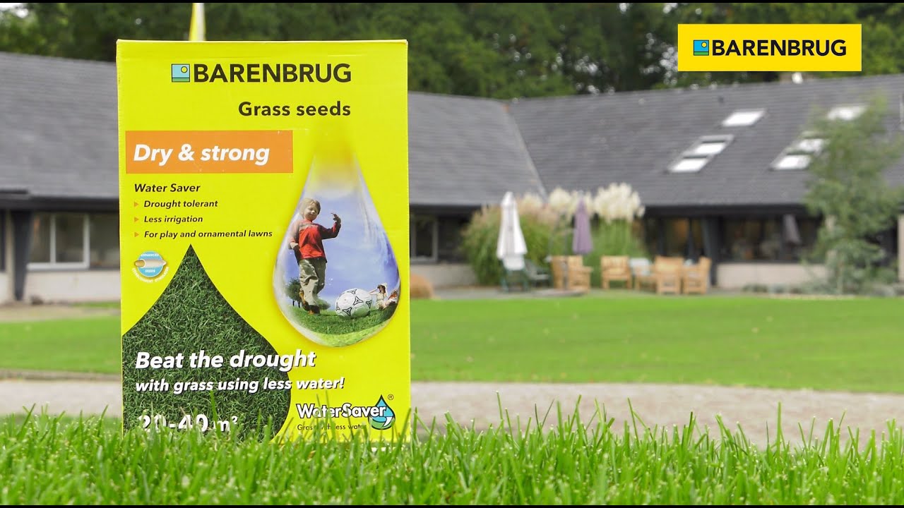 Barenbrug Water Saver græsfrø 1 kg emballage stående på græsplæne, viser 'Dry & strong' – tørketolerant, kræver mindre vanding, ideel til tørre områder og lege- eller prydplæner