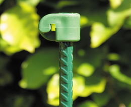 Grøn plantepæl med beskyttelseshætte Grøn plantepæl med plastbeskyttelseshætte i haven