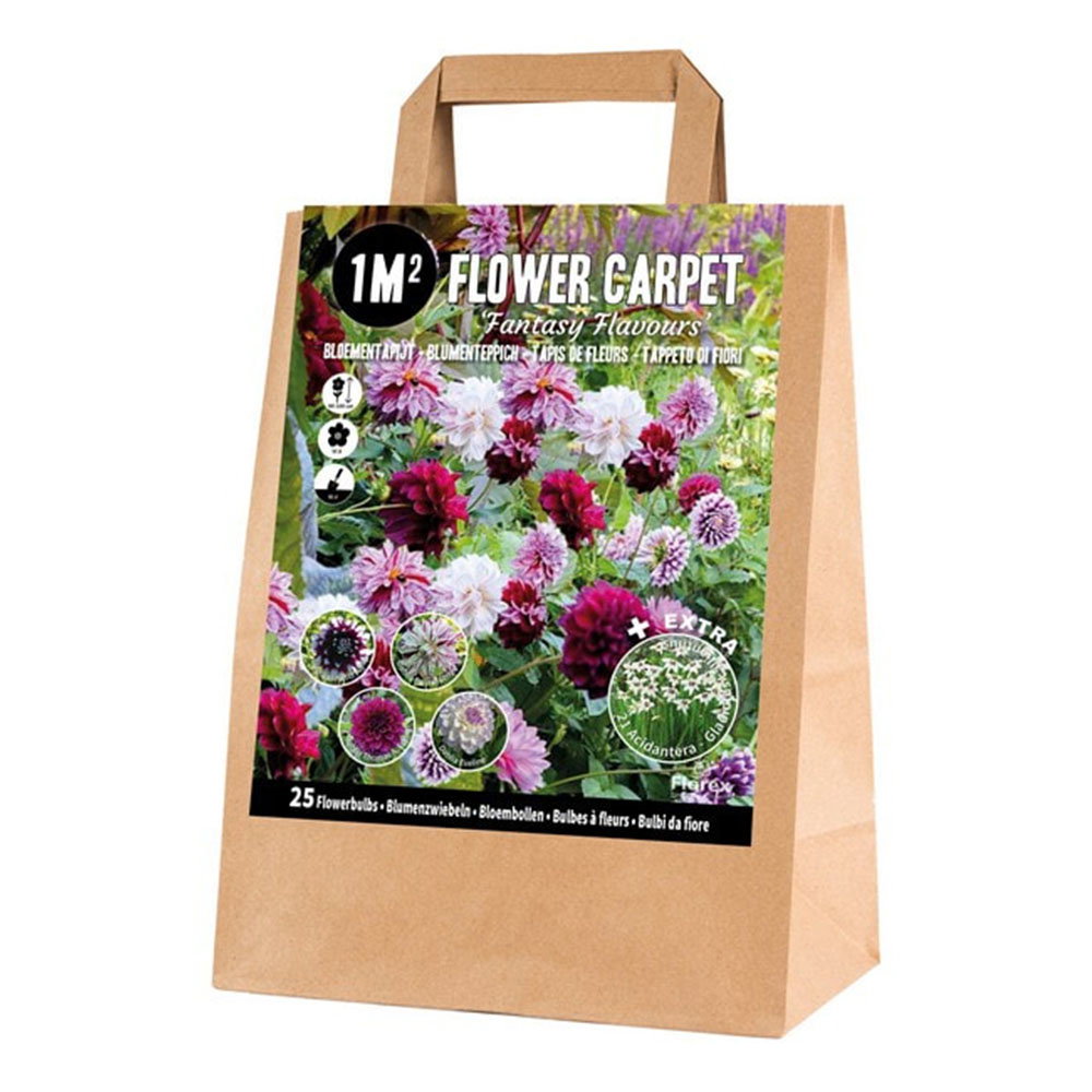 Papirpose med Flower Carpet Fantasy Flavours blomsterløg