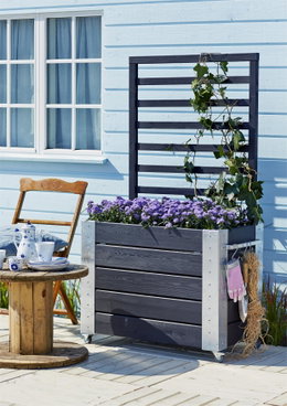 Sort blomsterkasse på hjul med lilla blomster