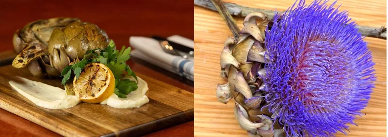 Billede opdelt i to: til venstre en grillet artisjok på træskærebræt med grillet citron, frisk persille og cremet dip, til højre et close-up af en lilla/artiskokblomst med tætte, nåleagtige blomsterstande