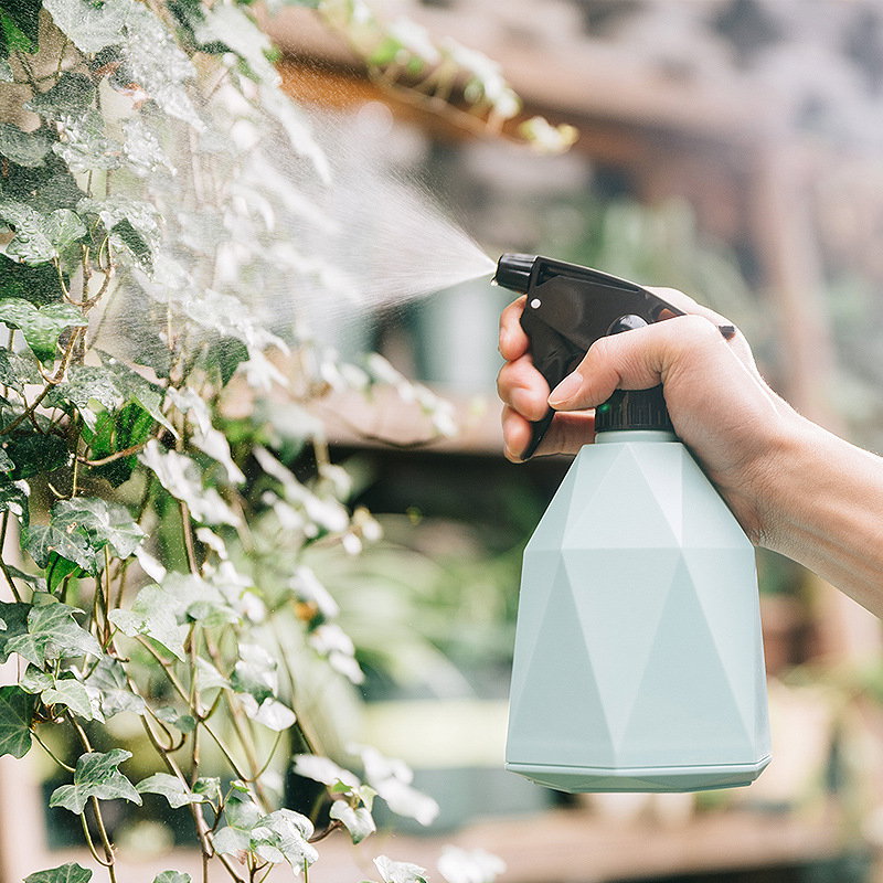 Hånd der vander stueplanter med sprayflaske