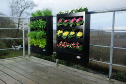 Lodret sort plantekasse med urter og blomster på altan