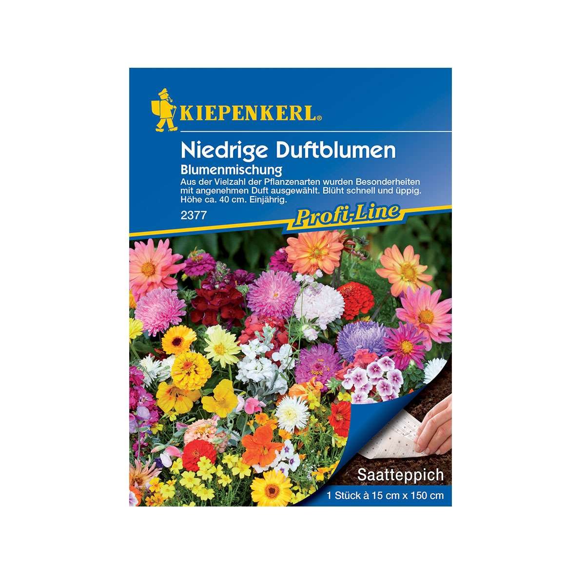 Frøtæppe med lave duftblomster i blandede farver